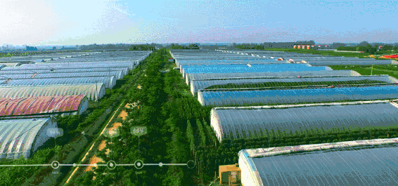 每日萊水餃生產(chǎn)